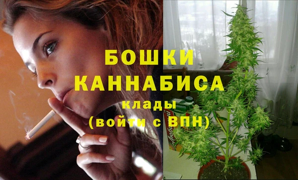 a pvp Аркадак