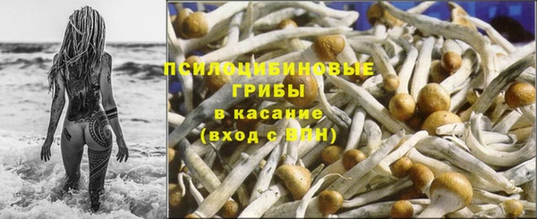 a pvp Аркадак