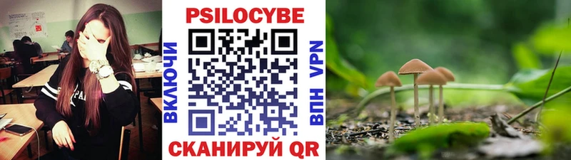 Галлюциногенные грибы мицелий  мега маркетплейс  Калязин 